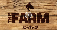 Pro TV a cumpărat franciza The Farm, un reality-show precum Big Brother, dar la fermă