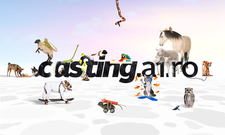 BestPet_CastingAdresa_comp