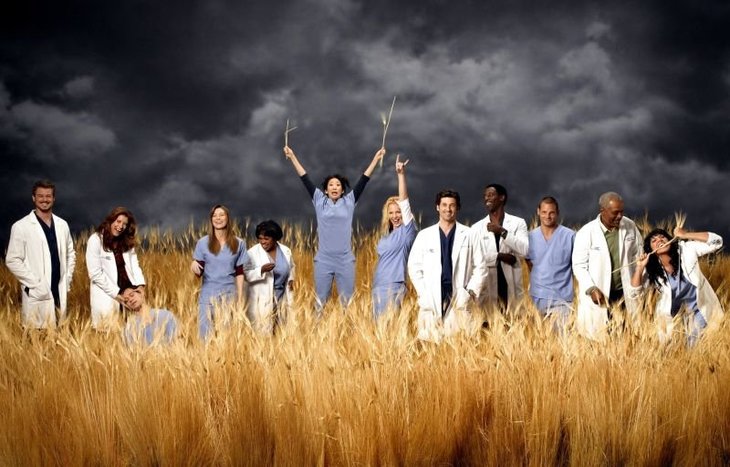 grey anatomy