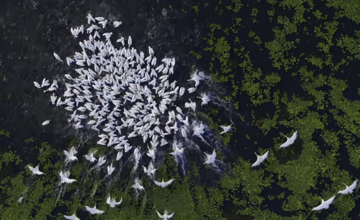 BBC pregăteşte un nou documentar despre Terra. Vor fi şi imagini din România. Un român i-a ajutat în procesul de documentare