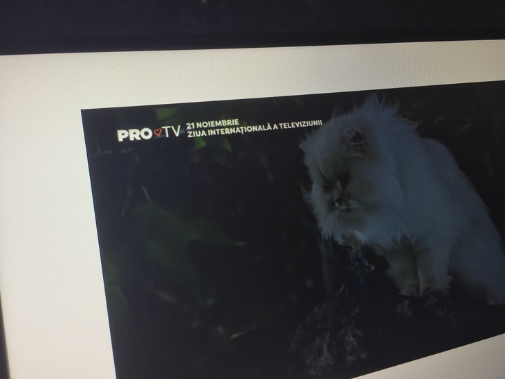 Pro TV, logo schimbat pentru o zi. „Punctul” s-a transformat într-o inimă de Ziua Mondială a Televiziunii