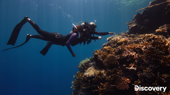 Discovery sărbătoreşte Ziua Pământului cu un documentar despre impactul schimbărilor climatice asupra recifelor de corali
