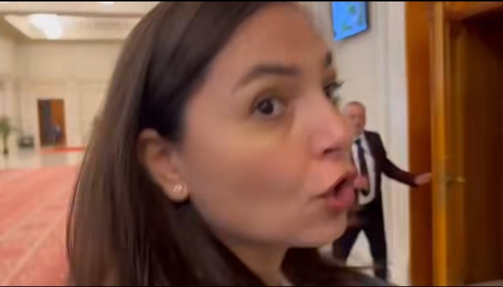 DERAPAJ al deputatei Anamaria Gavrilă către ziarişti: "Sunteţi pe cale de dispariţie. Abia aştept să vă văd gone"