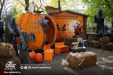 RECOMANDARE. Weekend magic la Opera Comică pentru Copii: 28 de reprezentaţii, vrăjitoare, lebede şi… magie în farfurie. Opera Comică organizează şi Târgul Vrăjitoarelor