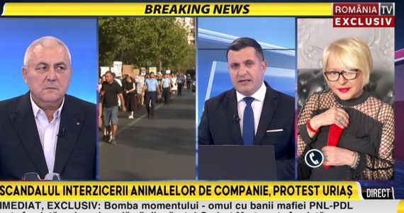 Romania TV, sancţiune. Dezinformare cu interzicerea animalelor de companie. „Activiştii vor să renunţăm la animale pentru că sunt deprimate, se plictisesc, produc prea multe emisii de carbon”