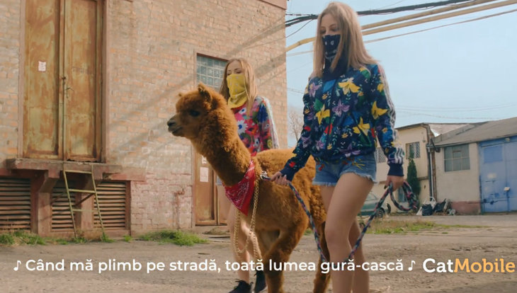 Top ADC. Cum a adaptat Netflix colindul Florile Dalbe pentru a-şi promova un serial? A fost ideea lunii decembrie. Alpaca lui Godină, vedetă într-un spot cu Micutzu