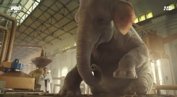 VIDEO- SpotON. Un elefant se legăna, în reclama la covrigi.... Cabral şi Puya ghicesc ingredientele Lay`s