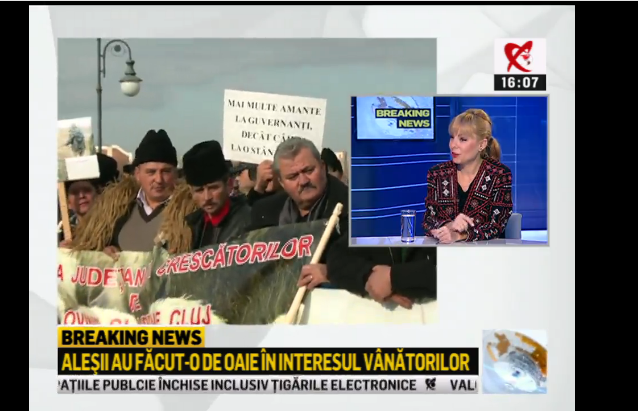 BURTIERA LA MINUT. Realitatea TV, titlul zilei: "Aleşii au făcut-o de oaie în interesul vânătorilor"