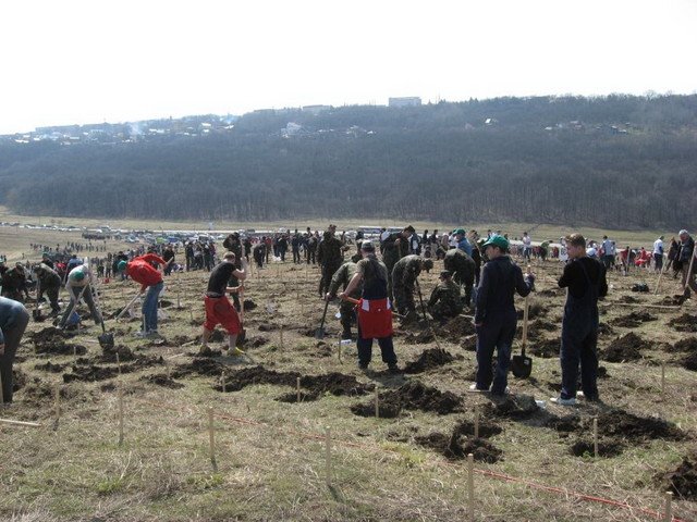 Ştirea că Romsilva vrea să cumpere terenuri pentru a le împăduri s-a răspândit cu repeziciune pe Facebook