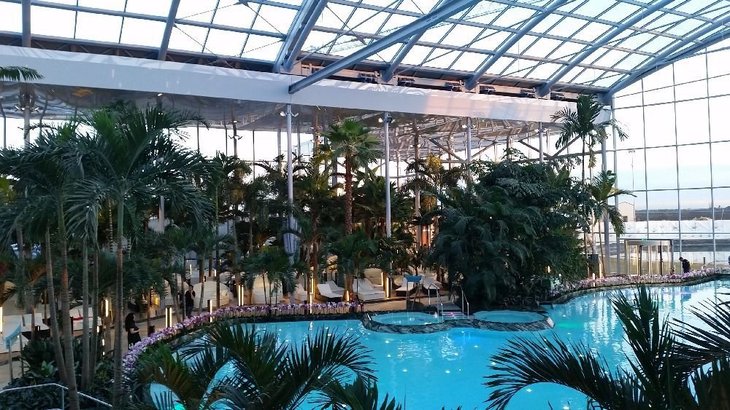 Therme din nou. Adela Pârvu de la Visuri la cheie, sute de share-uri cu materialul despre centru cu apă termală