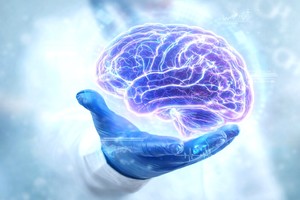 Un potenţial factor în bolile neurodegenerative: proteinele din neuroni se acumulează odată cu vârsta şi se răspândesc în creier, au constatat cercetătorii