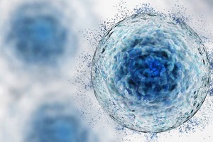 „Amprenta morţii”: un mecanism al morţii celulare ar putea influenţa răspunsul imun şi răspândirea virusurilor în organism