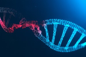 VIDEO Cercetătorii au creat un instrument care surprinde în timp real repararea ADN-ului în organisme vii