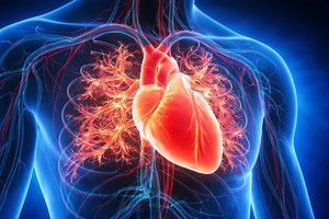 VIDEO Un fluid magnetic injectat în inimă ar putea preveni accidentele vasculare cerebrale