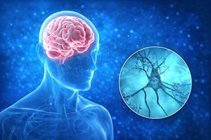 Boala Alzheimer nu poate fi tratată printr-o singură ţintă: cercetătorii propun o schimbare majoră de abordare