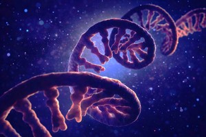 „Materia întunecată” din genom, noi direcţii de tratament pentru diverse boli