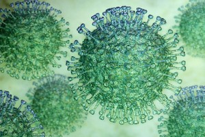 Virusuri emergente, în atenţia experţilor ca potenţial risc major pentru sănătatea publică