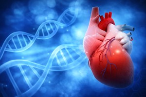 O proteină-cheie din organism ar putea proteja împotriva hipertensiunii arteriale şi a diabetului