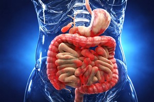Descoperire în boala Crohn: mecanismul care declanşează fibrozarea intestinului, identificat de cercetători