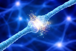 Cercetătorii lansează o nouă teorie pentru a explica modul în care apare boala Alzheimer