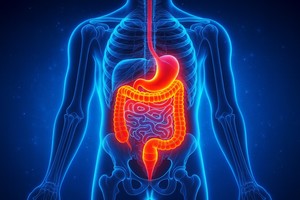 Legătura dintre sistemul nervos şi tumorile gastrointestinale. Cum poate „al doilea creier” influenţa dezvoltarea cancerului digestiv
