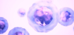 Descoperire în imunologie: un nou mecanism imun ar putea îmbunătăţi răspunsul împotriva cancerului