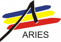 ARIES: Afacerile companiilor IT au crescut cu 26% în 2014, la 16 miliarde de lei