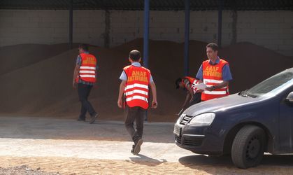 Antifrauda a identificat o rețea de 90 de firme din domeniul cerealelor care a prejudiciat bugetul cu 21,4 mil. euro