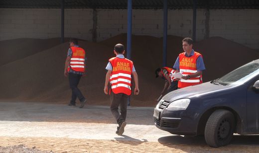 Antifrauda a identificat o rețea de 90 de firme din domeniul cerealelor care a prejudiciat bugetul cu 21,4 mil. euro