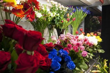 Florăria Magnolia a deschis al 16-lea magazin al rețelei la Constanța