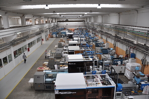 Vesela de plastic produsă în fabrica de la Topoloveni a italienilor de la Gold Plast ajunge în 39 de țări