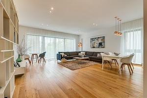 Sistemul de co-living, pe piața închirierii de locuințe middle sau premium, cu expați și diplomați. Topul profesiilor cu cele mai multe închirieri