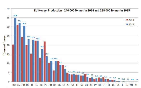 România a ajuns pe primul loc în UE la producția de miere