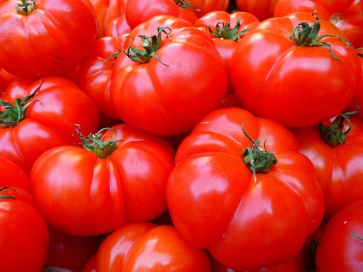Agricultorii care cultivă tomate în sere sau solarii primesc o finanțare de 3.000 euro 