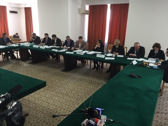 Senatorii vor vota un proiect de lege de respingere a OUG 13 care modifica codurile penale