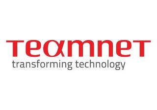 EXCLUSIV Primele date financiare din insolvența Teamnet