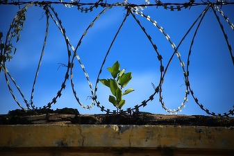 Condamnații aflați în condiții improprii de detenție vor primi o reducere de 6 zile pe lună din pedeapsă