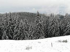 Vremea de Crăciun va fi caldă, cu temperaturi de până la 15 grade în sudul și sud-vestul țării și ninsori la munte