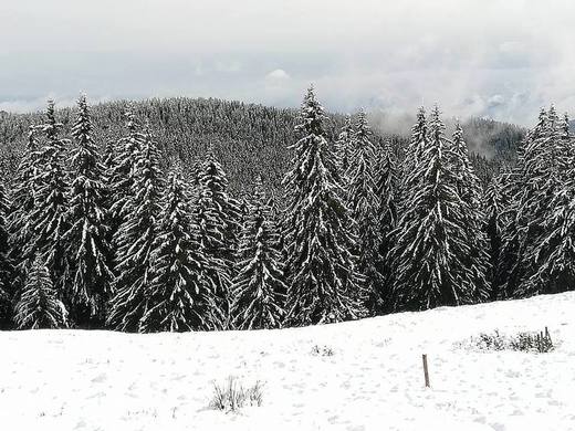 Vremea de Crăciun va fi caldă, cu temperaturi de până la 15 grade în sudul și sud-vestul țării și ninsori la munte