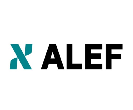Cehii de la ALEF au avut afaceri de 57,1 milioane de lei în primul an pe piața românească, sub ținta anunțată la preluarea LikeIT Solution