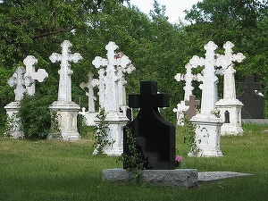 Capitala vrea să construiască un cimitir la Glina. Motive? Lipsa acută a locurilor de veci și generarea de venituri din pompe funebre