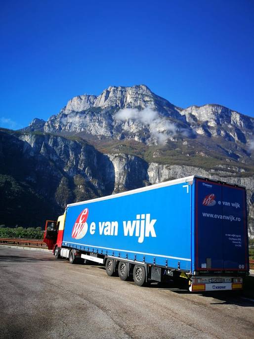 Logistic E van Wijk se divizează și transferă imobiliarele pe altă firmă