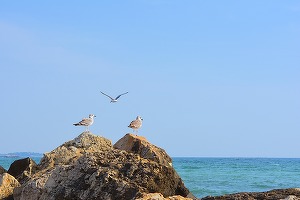Comisia Europeană atenționează România și îi cere să își elaboreze planul de amenajare a spațiului maritim