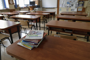 Cursuri suspendate din cauza zăpezii și viscolului în județele Brăila, Galați, Călărași, Constanța și Tulcea