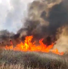 Incendiu puternic pe Șoseaua Olteniței, în Popești Leordeni. A fost emis mesaj RO-Alert pentru avertizarea populației