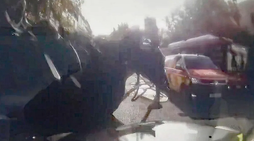 VIDEO Trei cai militari fug prin centrul Londrei, iar unul se lovește de un taxi