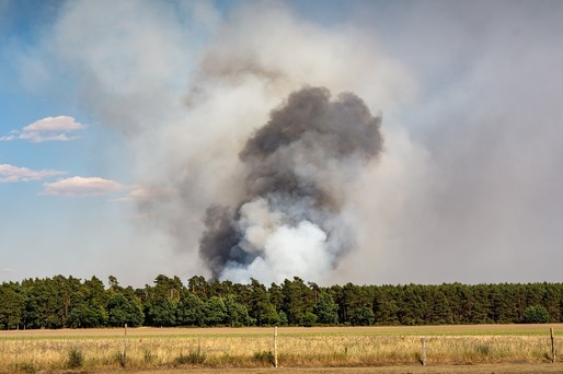 Record de incendii de vegetație