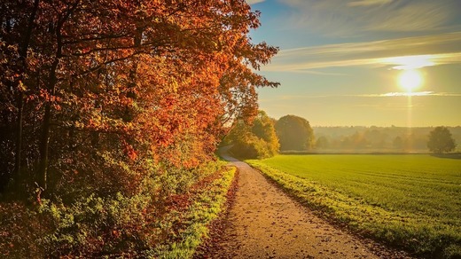 Meteorologii anunță temperaturi peste cele specifice, până la sfârșitul lunii