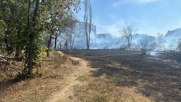 FOTO Incendiu de vegetație uscată în Parcul IOR