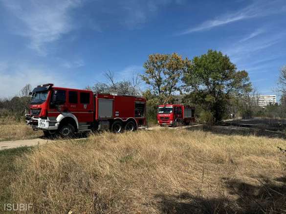 FOTO Incendiu de vegetație uscată în Parcul IOR